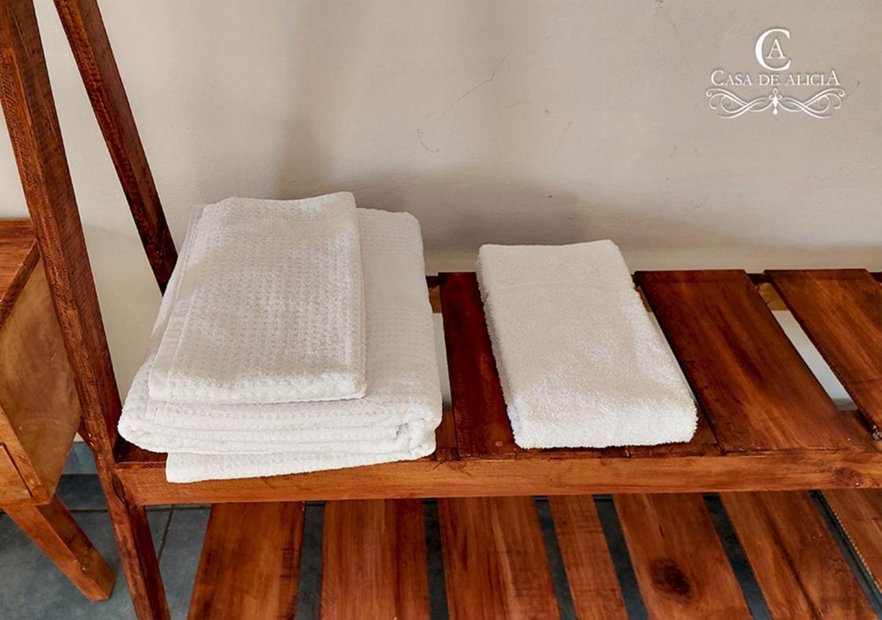 Casa De Alicia Habitacion Monte Alban Apartment Oaxaca Ngoại thất bức ảnh